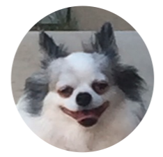 パンダ